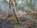 Research findings from mapping fire severity in tropical northern Australia