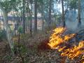 An iPhone app is being used to help people prepare for bushfire