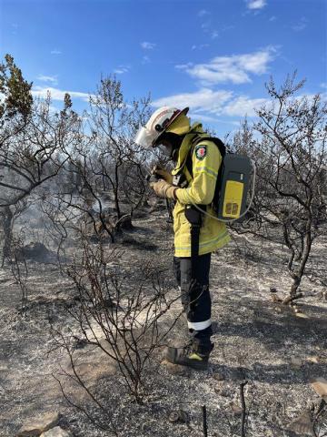Forest firefighter in PPE